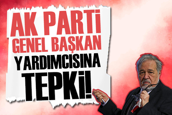 İlber Ortaylı'dan AK Parti Genel Başkan Yardımcısına tepki! 