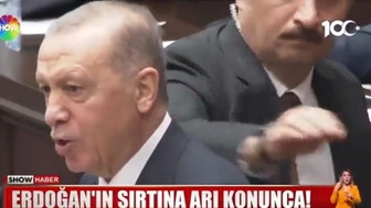 Cumhurbaşkanı Erdoğan'ın sırtına arı kondu koruma böyle müdahale etti